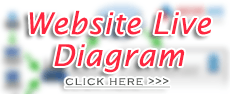 Website bdris.gov.bd - Visual Diagram